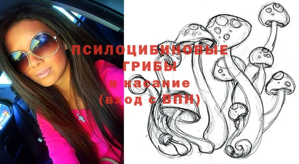 гашик Бронницы