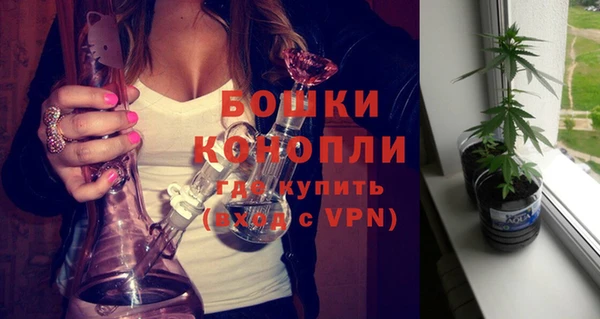гашик Бронницы