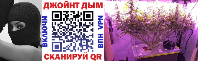 закладка  Дагестанские Огни  Шишки марихуана VHQ 